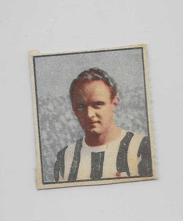 Karl Aage Hansen - DIdasco Albosport - Juventus